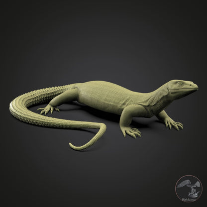 Varanus acanthurus (Ankie-Waran)