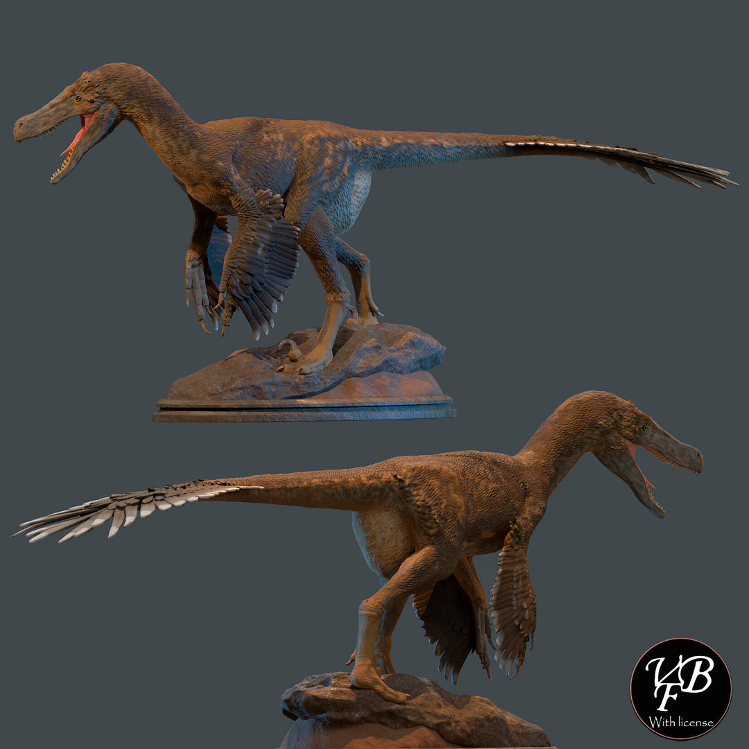 Velociraptor mongoliensis