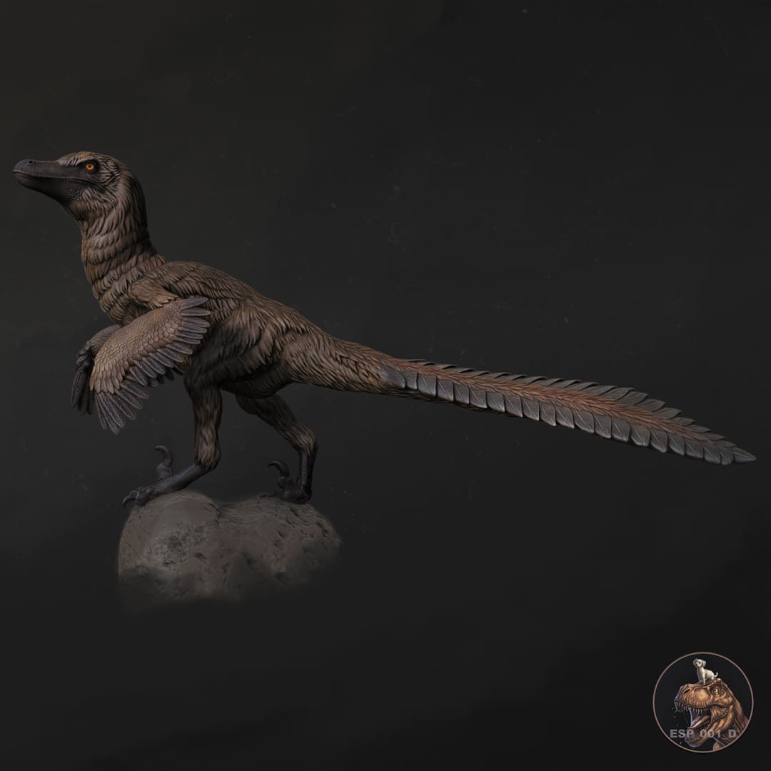 Velociraptor mongoliensis