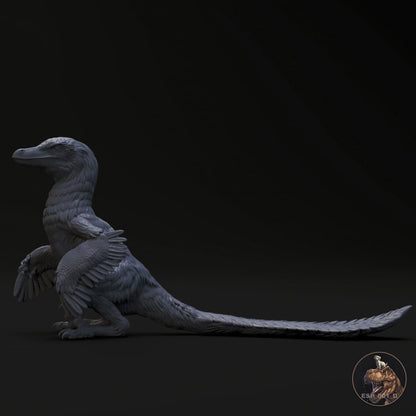 Velociraptor mongoliensis