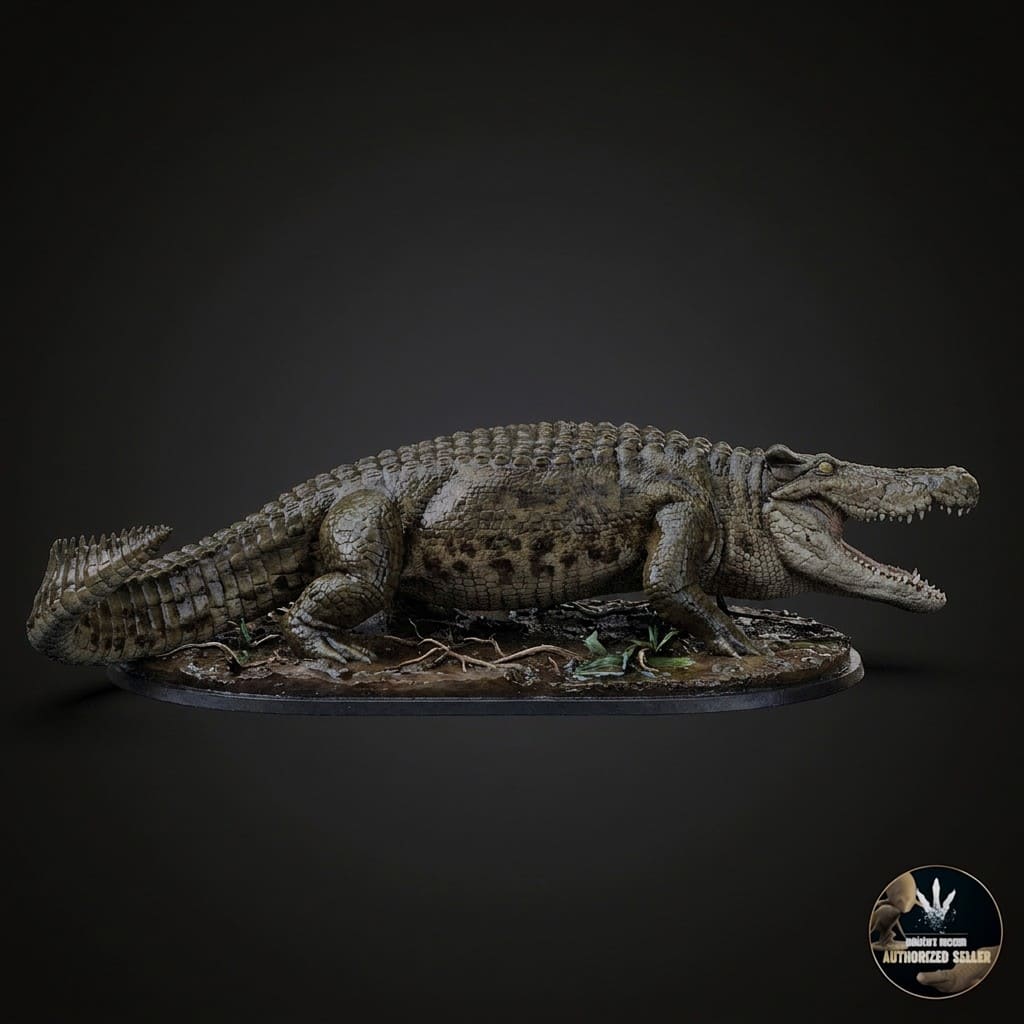 Voay robustus