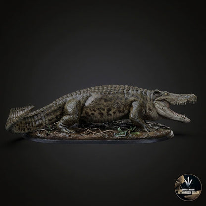 Voay robustus