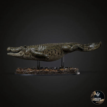 Voay robustus