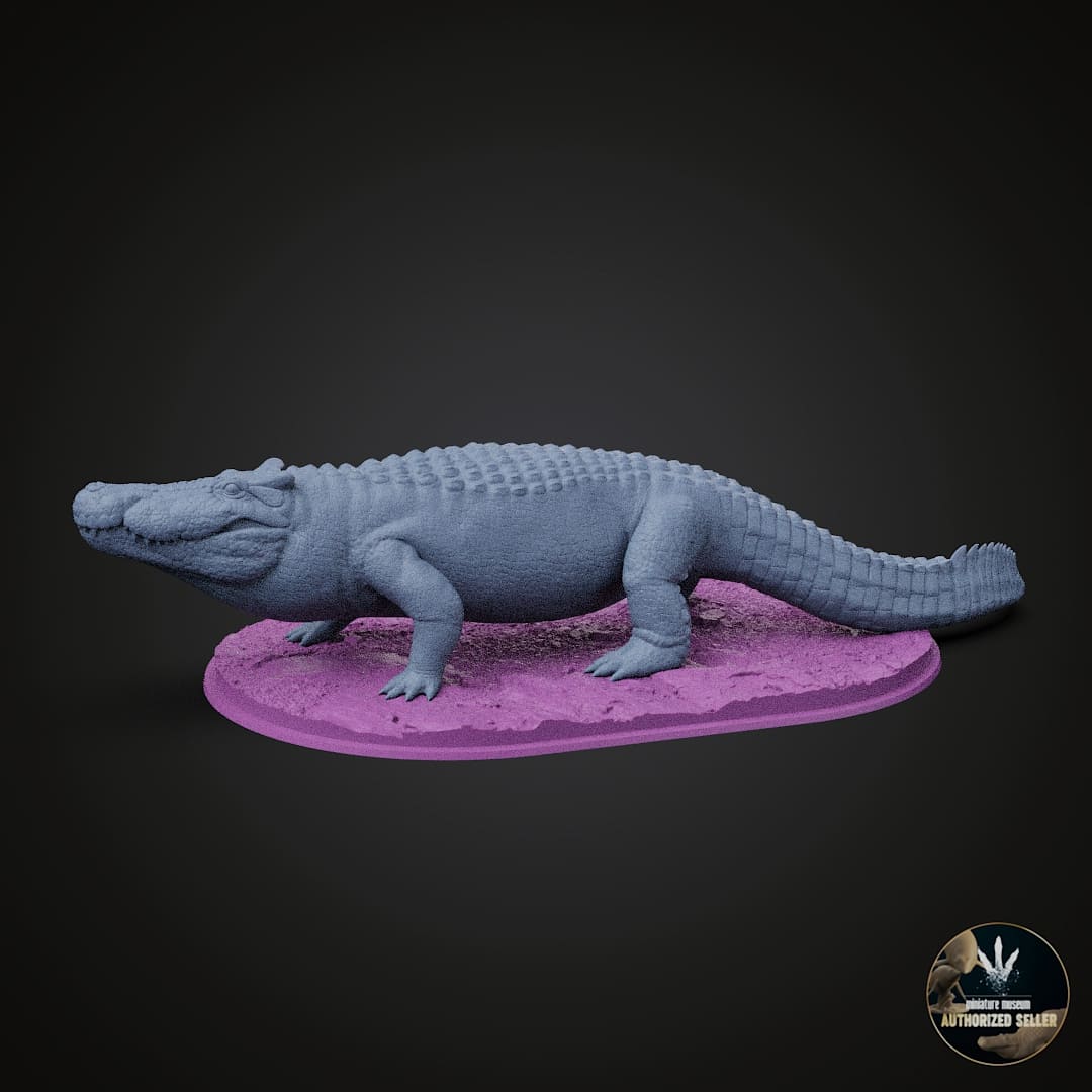 Voay robustus