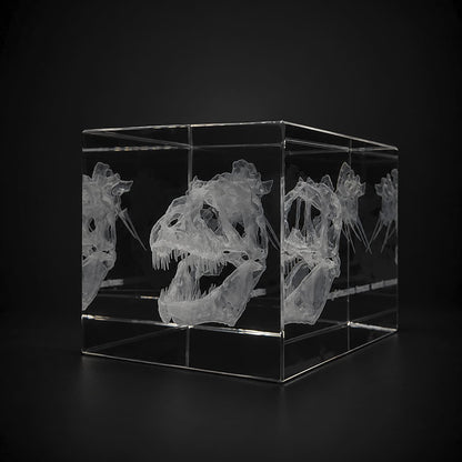 Cristal K9 personalizado