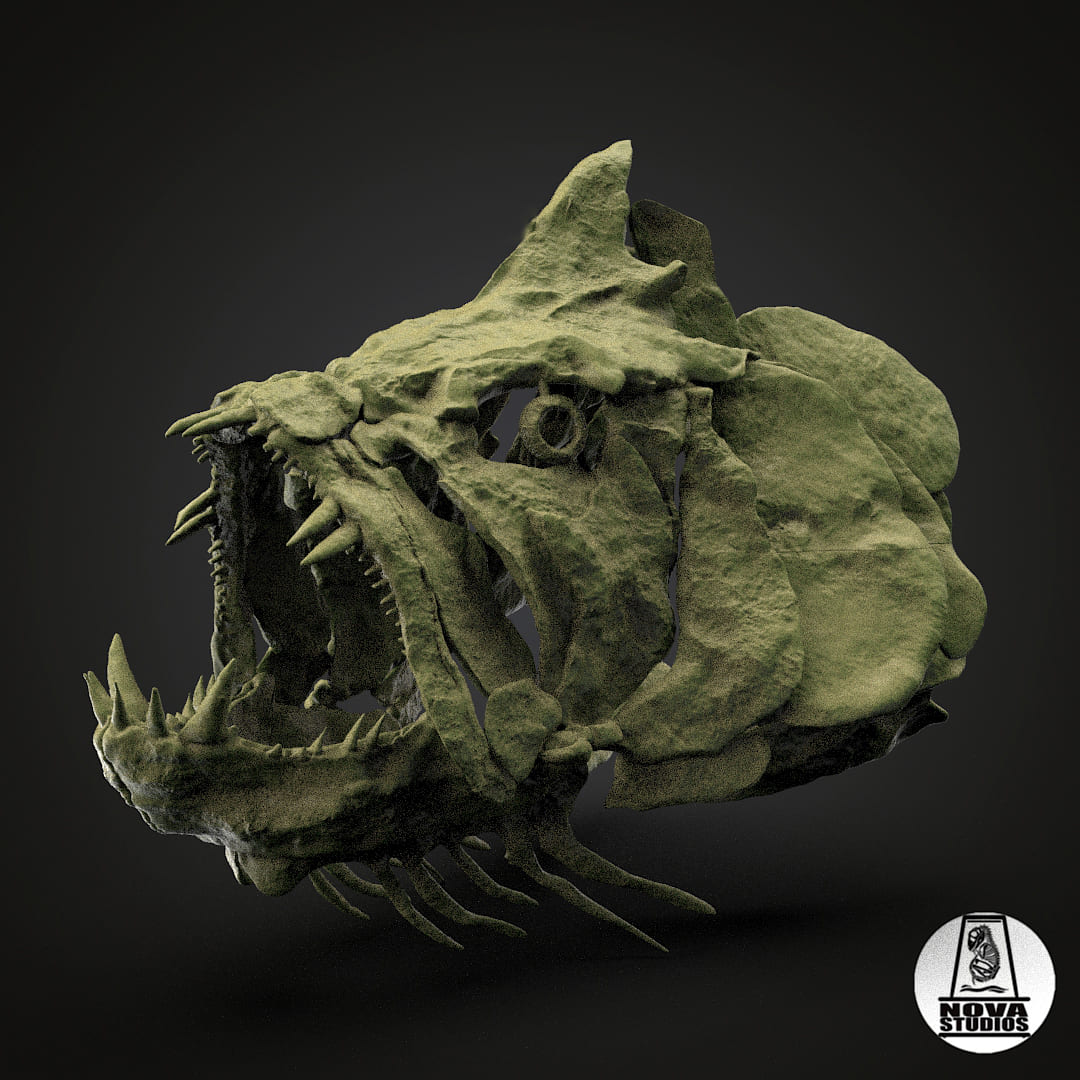 Xiphactinus audax skull