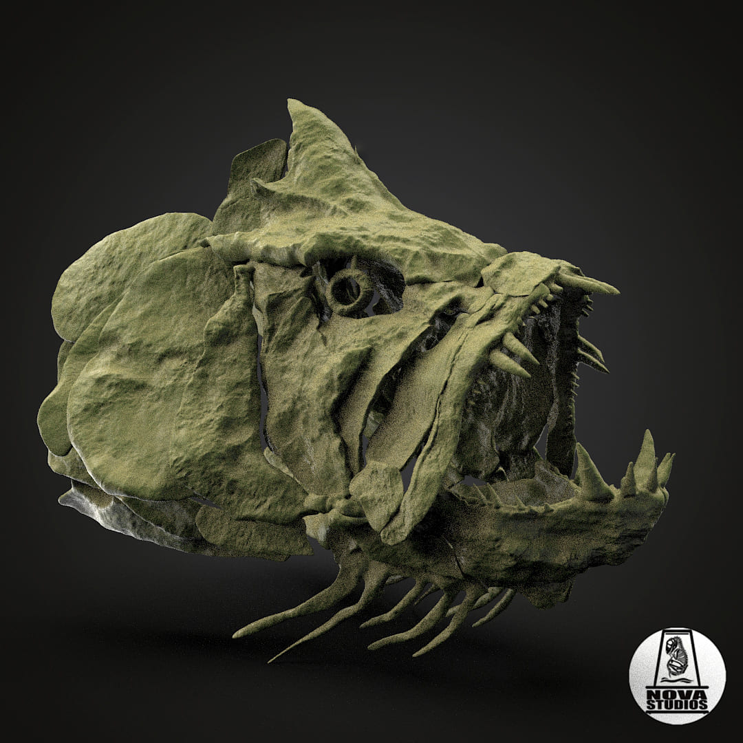 Xiphactinus audax skull