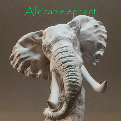 Elefante Africano