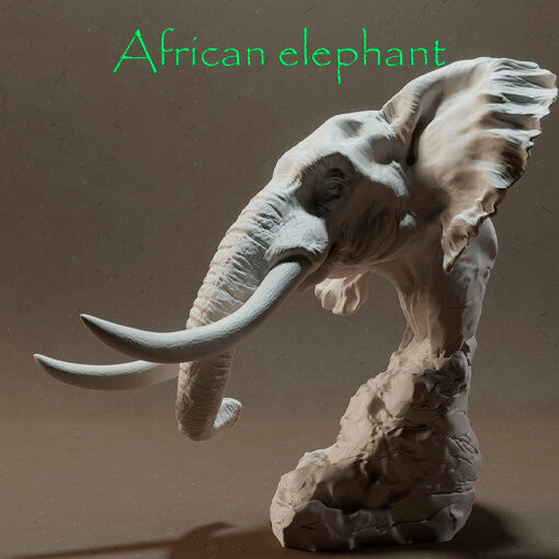 African elephant