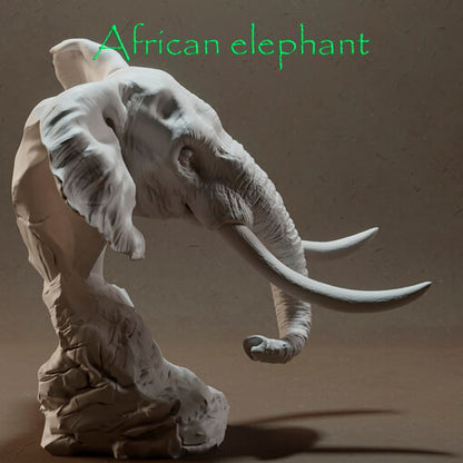 Elefante Africano