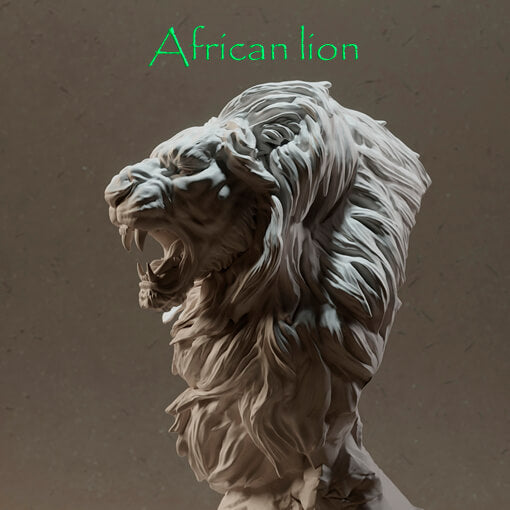 León africano