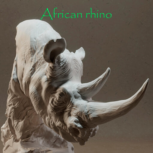 Afrikanisches Nashorn