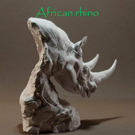 Afrikanisches Nashorn