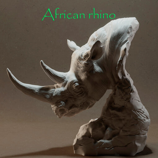 Afrikanisches Nashorn