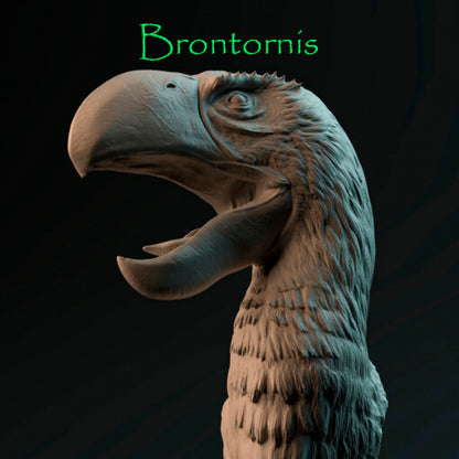 Brontornis