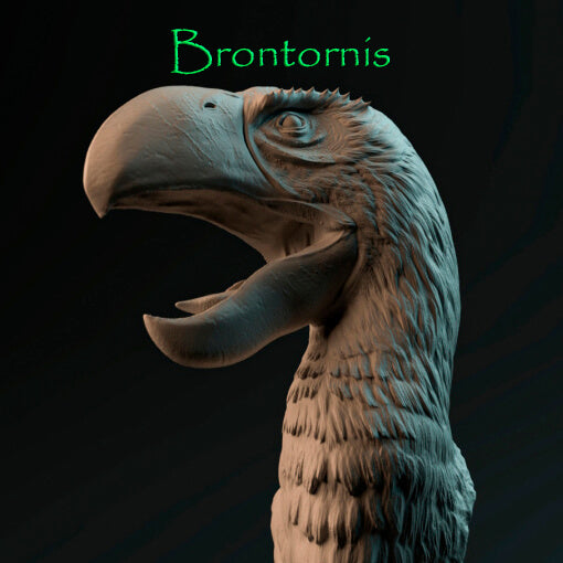 Brontornis