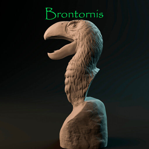 Brontornis