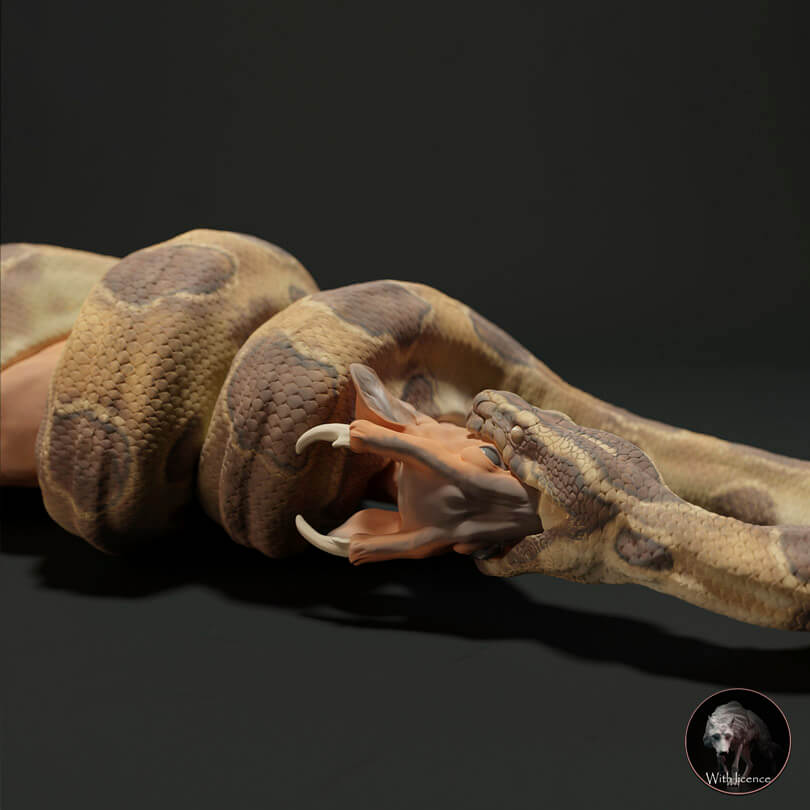 Burmese Python / Muntiacus