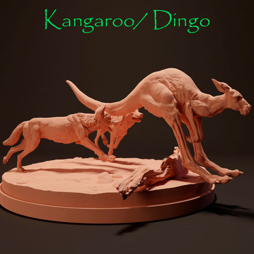 Kangaroo / Dingo