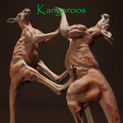 Kängurus