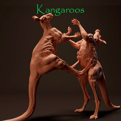 Kängurus