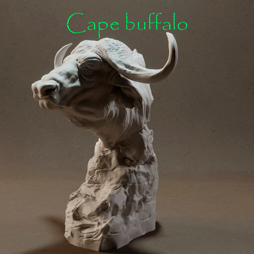 Cape buffalo