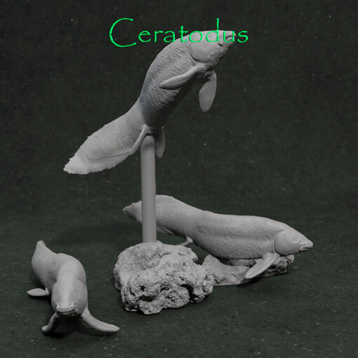 Ceratodus