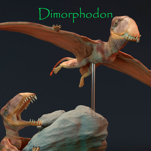 Dimorphodon – Dinosauria Creatures