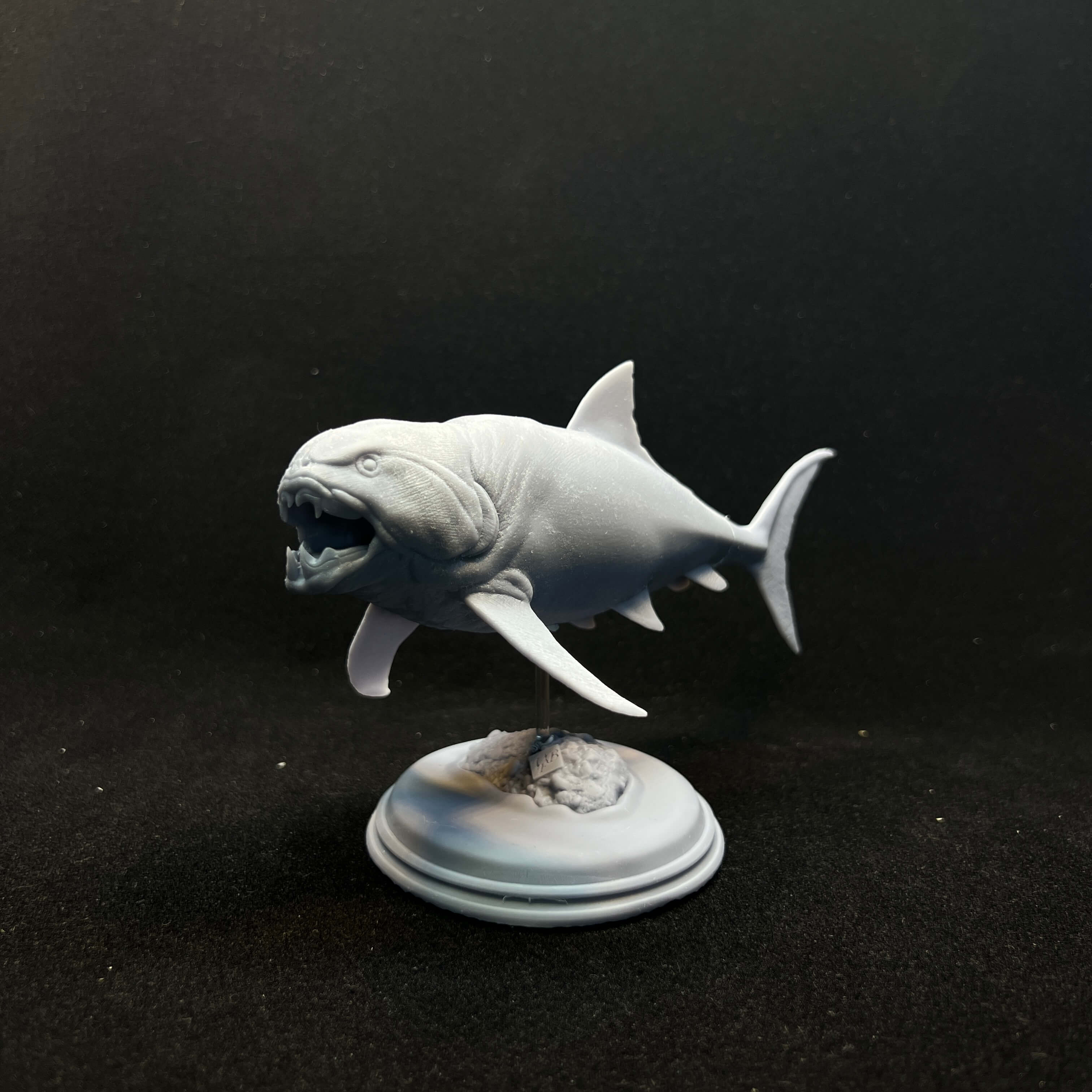 Dunkleosteus terrelli