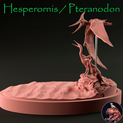 Hesperornis / Pteranodon