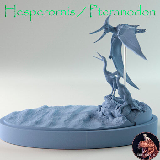 Hesperornis / Pteranodon