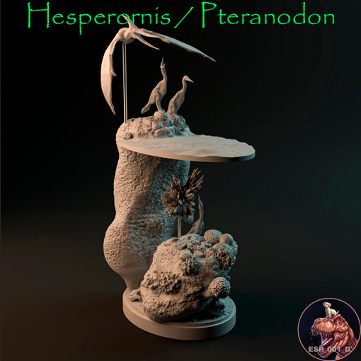 Hesperornis / Pteranodon