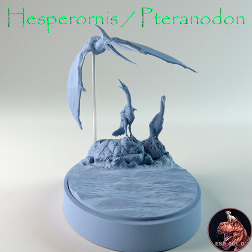 Hesperornis / Pteranodon