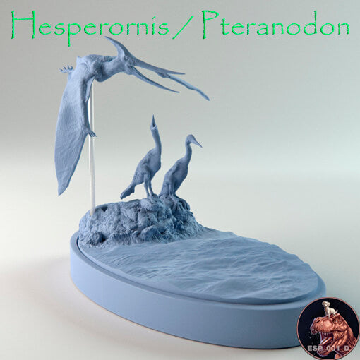 Hesperornis / Pteranodon