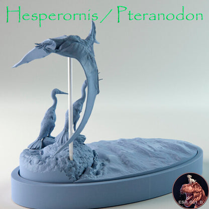 Hesperornis / Pteranodon