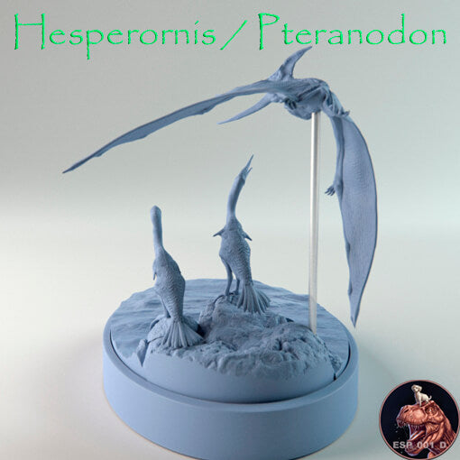 Hesperornis / Pteranodon