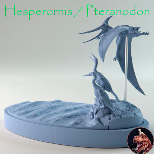 Hesperornis / Pteranodon