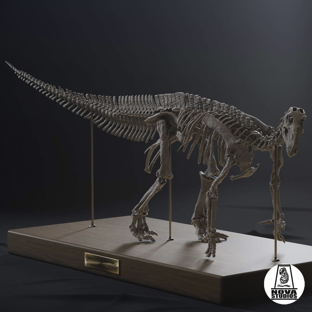 Iguanodon bernissartensis  -MODERN POSE-