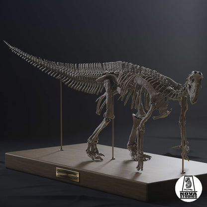 Iguanodon bernissartensis  -MODERN POSE-