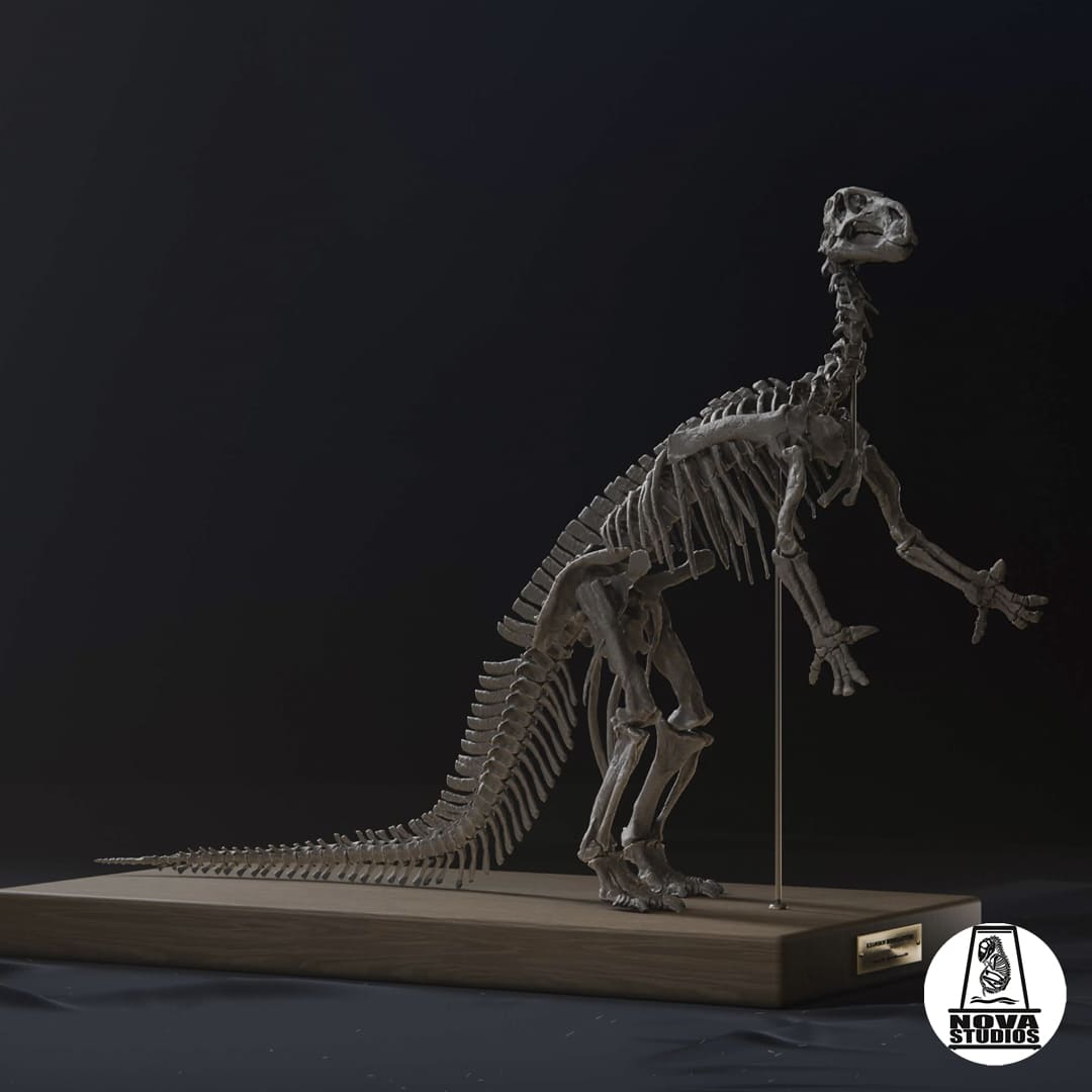 Iguanodon bernissartensis  -1882 POSE-