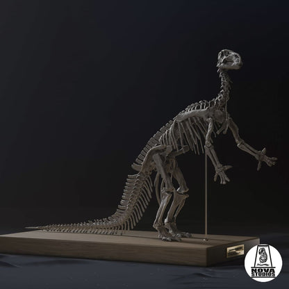 Iguanodon bernissartensis  -1882 POSE-