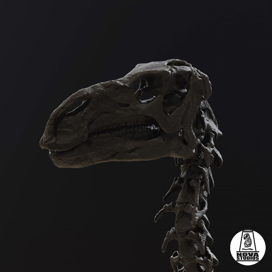 Iguanodon bernissartensis  -1882 POSE-