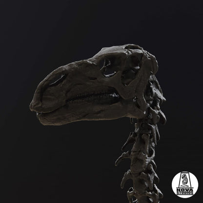 Iguanodon bernissartensis  -1882 POSE-