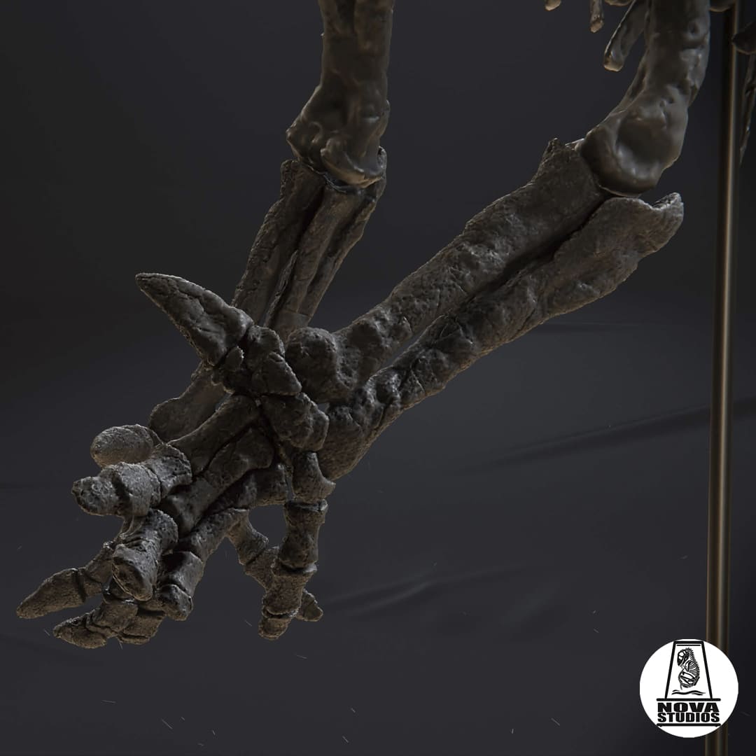 Iguanodon bernissartensis  -MODERN POSE-