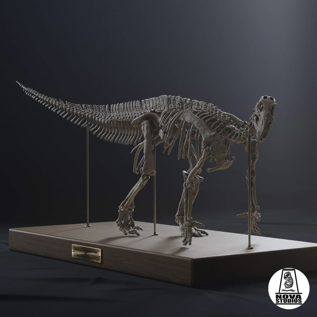 Iguanodon bernissartensis  -MODERN POSE-