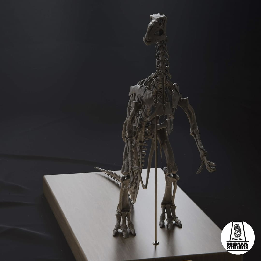 Iguanodon bernissartensis  -1882 POSE-