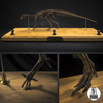 Mantellisaurus atherfieldensis