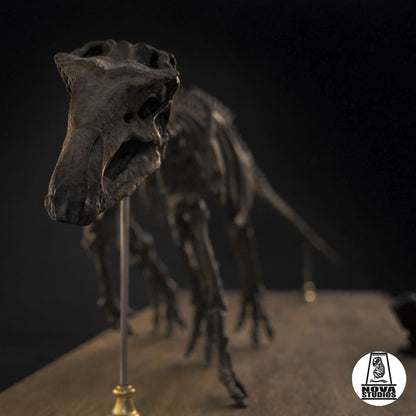 Mantellisaurus atherfieldensis