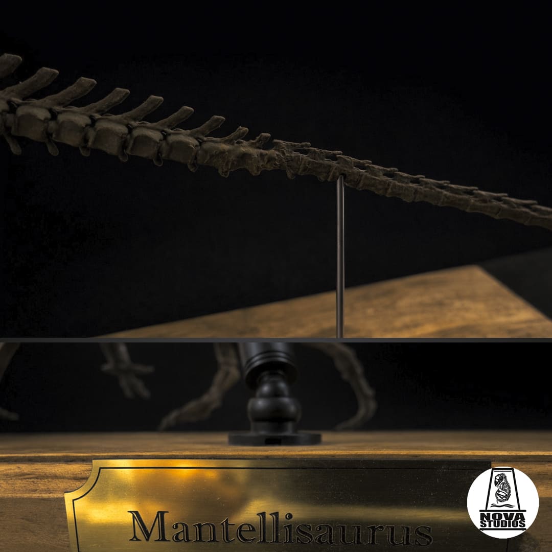 Mantellisaurus atherfieldensis