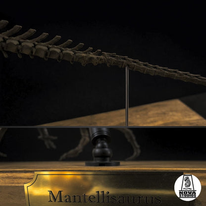 Mantellisaurus atherfieldensis